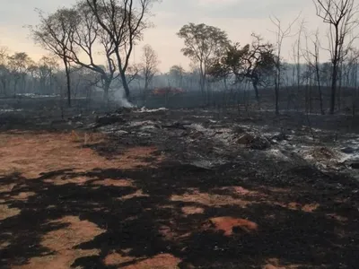 Vídeo: incêndio de grandes proporções atinge área de chácaras