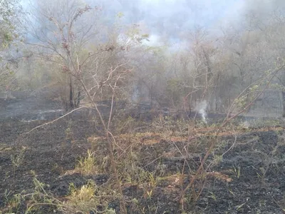 Dois focos de incêndio são extintos e Vale do Paraíba segue com um foco ativo nesta quinta (3)