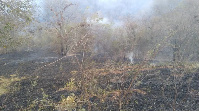 Dois focos de incêndio são extintos e Vale do Paraíba segue com um foco ativo nesta quinta (3)