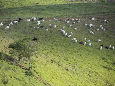 Área de pastagens degradadas em Mato Grosso do Sul chega a 4,7 milhões de hectares