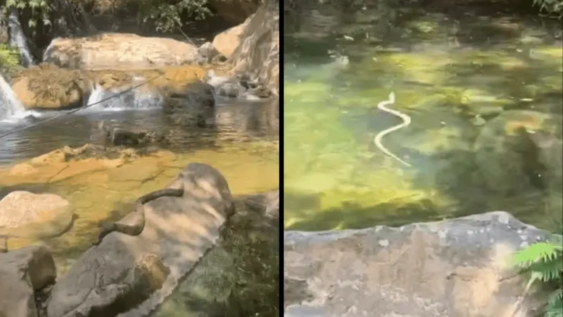 Mulher se espanta com cobra tomando sol e nadando em cachoreira em Goiás