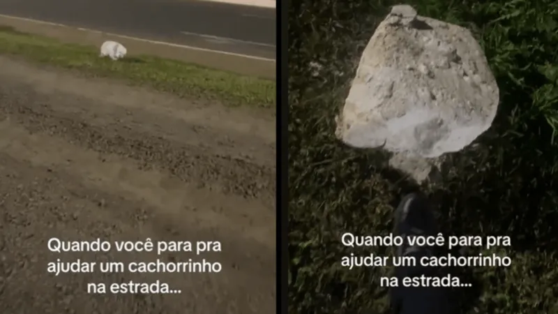 Jovem confunde pedra com cachorro e vídeo viraliza