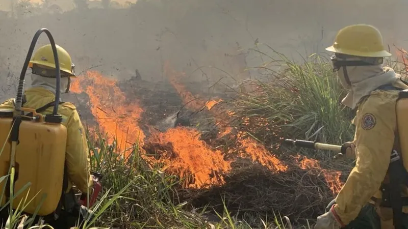 AGU aciona autores de queimadas em vegetação nativa e cobra R$ 89 milhões