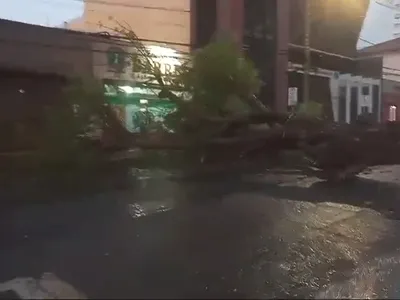 Alerta de tempestade leva paulistas ao Google nesta sexta