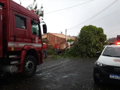 Temporal em SP teve a maior rajada de vento já registrada em quase 30 anos