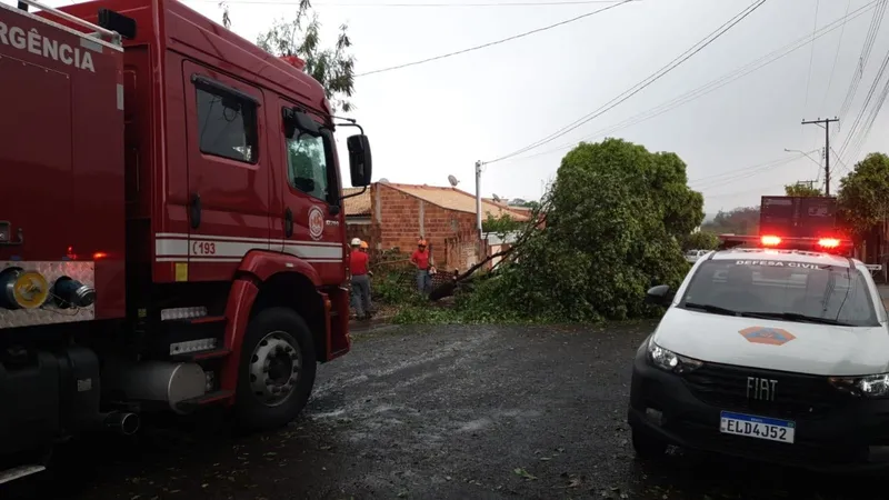 Temporal em SP teve a maior rajada de vento já registrada em quase 30 anos