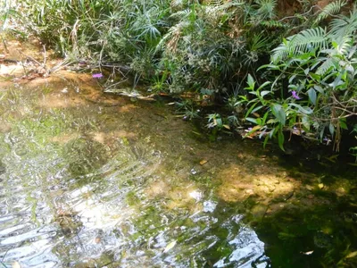 Chuvas não repõem toda a água consumida do Aquífero Guarani, alerta estudo