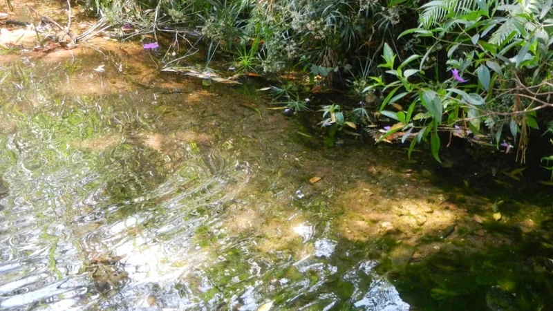 Chuvas não repõem toda a água consumida do Aquífero Guarani, alerta estudo