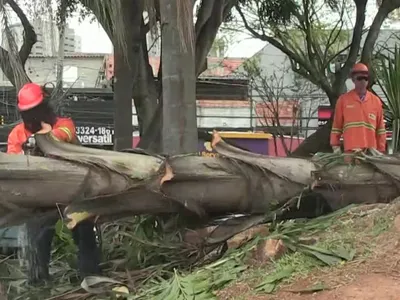 Sudeste entra em alerta para temporais e ventos de até 100 KM/H