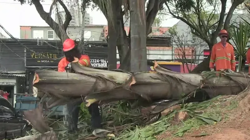 Ao menos 500 mil pessoas segue sem luz em SP mais de 60h depois de temporal