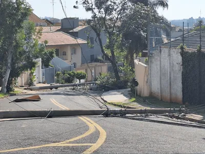 Árvore cai e derruba dois postes na Vila Brandina, em Campinas