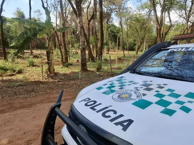 Sitiante é multado por desmatar área de preservação em Rancharia