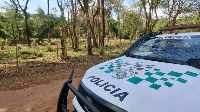 Sitiante é multado por desmatar área de preservação em Rancharia