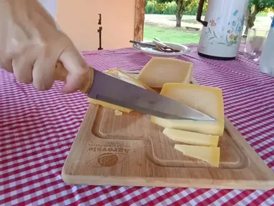 Queijo produzido em Goiás ganha medalha de ouro em concurso internacional