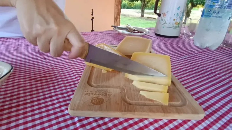 Queijo produzido em Goiás ganha medalha de ouro em concurso internacional