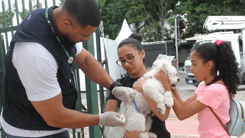 Prefeitura de Jacareí realiza vacinação antirrábica para cães e gatos neste final de semana