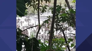 Lago do Bosque da Barra da Tijuca só deve voltar ao nível inicial com chuvas, diz ambientalista