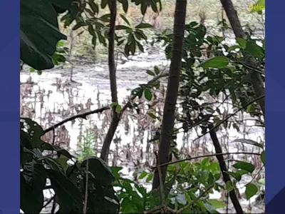 Lago do Bosque da Barra da Tijuca só deve voltar ao nível inicial com chuvas, diz ambientalista