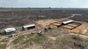 PF prende um em Campinas durante operação contra desmatamentos e queimadas na região amazônica