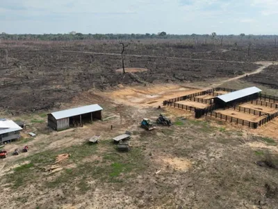 PF prende um em Campinas durante operação contra desmatamentos e queimadas na região amazônica