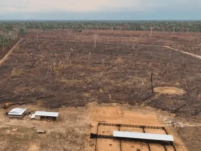 PF faz operação contra queimadas e desmatamento ilegal na Amazônia