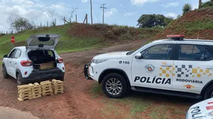 Veículo é apreendido com 80 tijolos de maconha em Santa Cruz do Rio Pardo