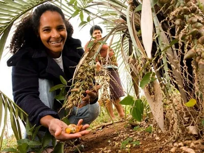 Os pilares da agricultura familiar como base da segurança alimentar e da sustentabilidade