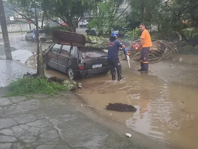 Árvore cai sobre carro após fortes chuvas em Ubatuba; cidade está em alerta de tempestade