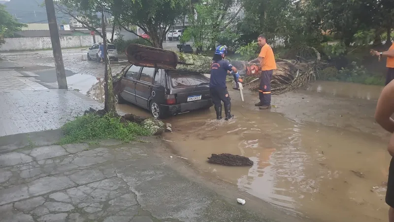 Árvore cai sobre carro após fortes chuvas em Ubatuba; cidade está em alerta de tempestade