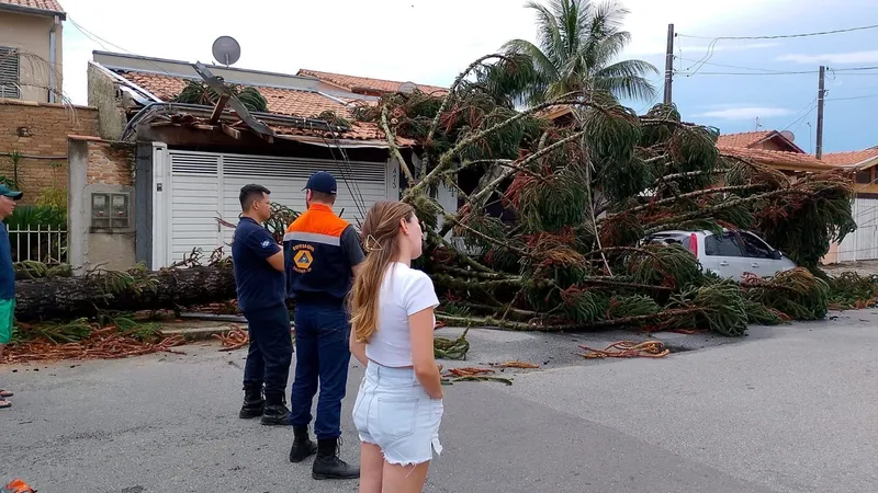 Árvore cai em residência em Taubaté após fortes ventos; carro também é atingido