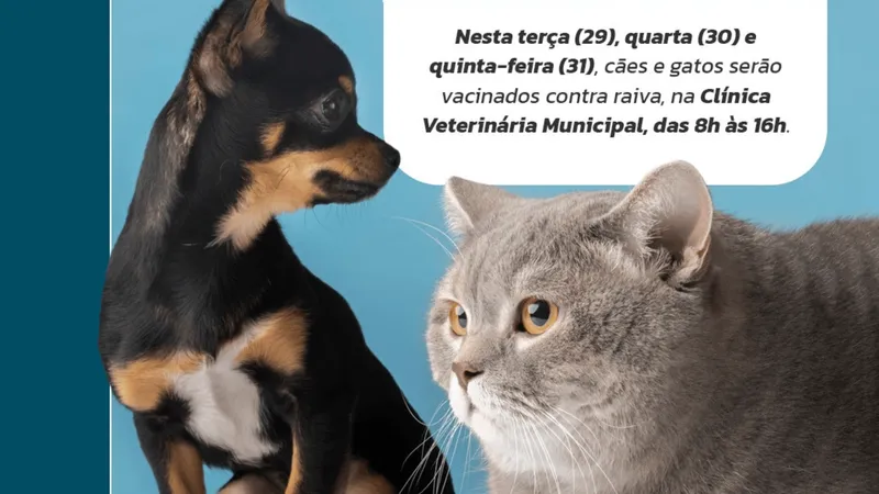 Cães e gatos serão vacinados na próxima semana em Jaú