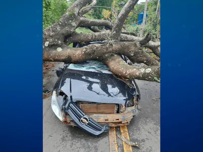 Defesa Civil confirma duas mortes em decorrência das chuvas em SP