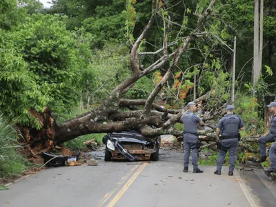 Árvore cai em cima de carro e mata homem em Itapira