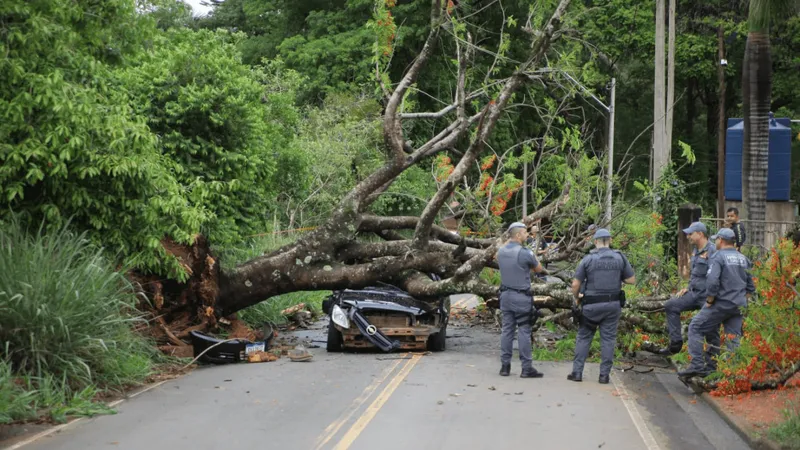 Árvore cai em cima de carro e mata homem em Itapira