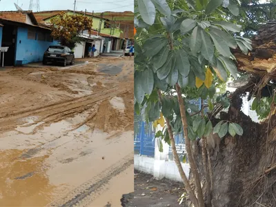 Caçapava registra queda de árvores e interdições temporárias após fortes chuvas