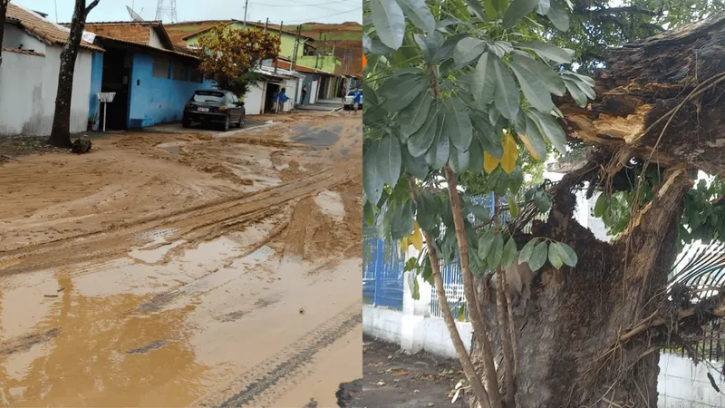 Caçapava registra queda de árvores e interdições temporárias após fortes chuvas