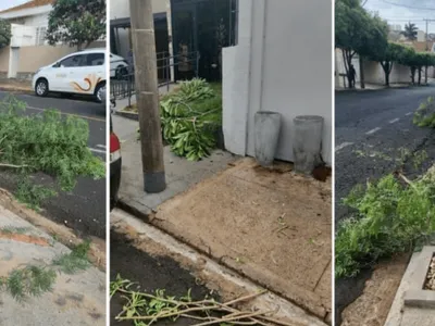 Homem é preso por atos de vandalismo em Rio Preto