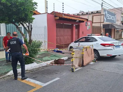 Capivara é atropelada em Pindamonhangaba e recebe atendimento em Lorena