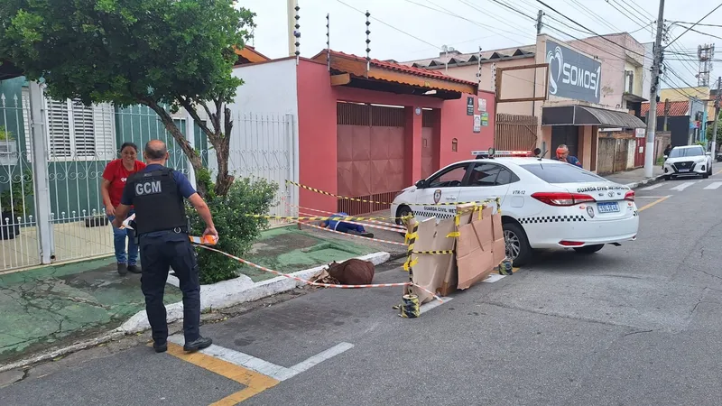 Capivara é atropelada em Pindamonhangaba e recebe atendimento em Lorena