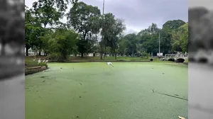 Frequentadores da Quinta da Boa Vista denunciam qualidade da água do lago