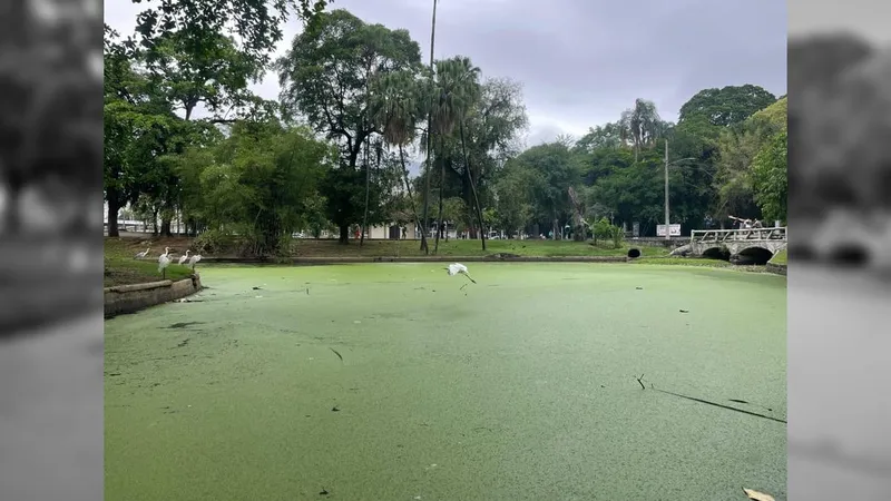 Frequentadores da Quinta da Boa Vista denunciam qualidade da água do lago