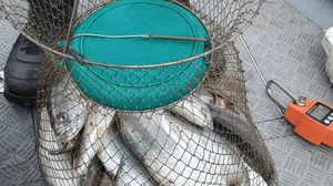 Trio é flagrado pescado com material proibido na região de Araçatuba