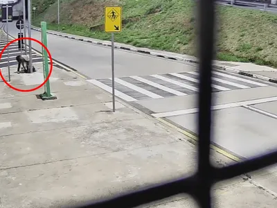 Videomonitoramento evita furto de cabos na Estação BRT Pompeia, em Campinas