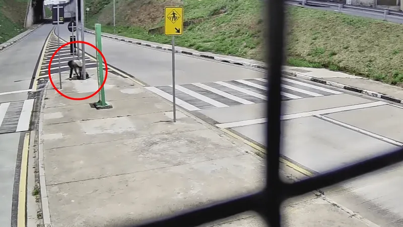 Videomonitoramento evita furto de cabos na Estação BRT Pompeia, em Campinas