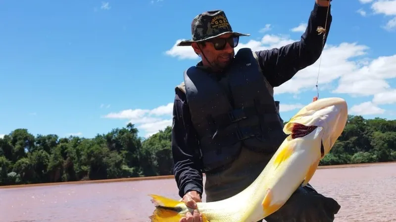 Piracema: proibição de pesca predatória na Bacia do Rio Paraná começa na sexta-feira (1)