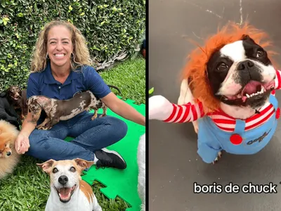 Creche de cachorros viraliza ao fazer o Halloween dos pets no PR