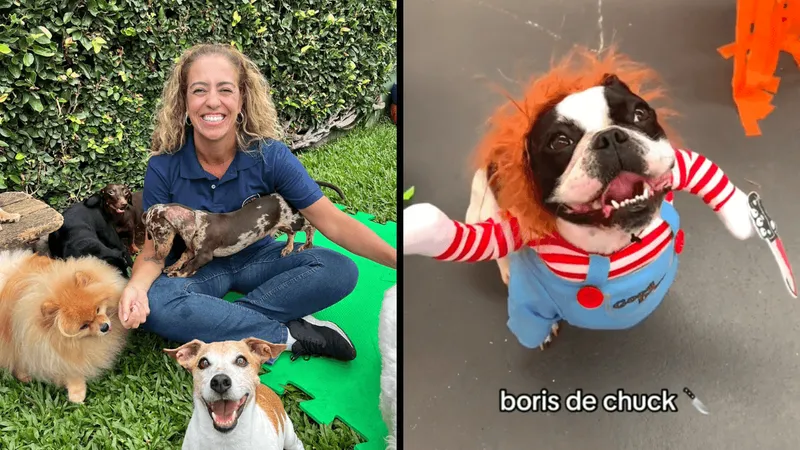 Creche de cachorros viraliza ao fazer o Halloween dos pets no PR