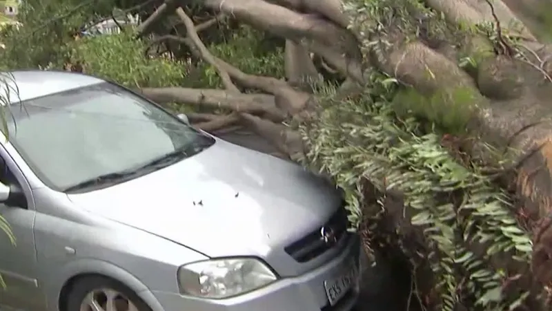 Cidade de São Paulo registra pontos de alagamentos após chuva; Sala Digital monitora