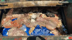 Polícia apreende cerca de 2 toneladas de carnes irregulares em um açougue em Campinas