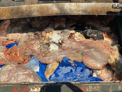 Polícia apreende cerca de duas toneladas de carnes irregulares em um açougue em Campinas